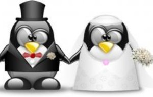 Le MLNVB se pare de blanc