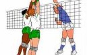 CRENEAUX D'ENTRAINEMENTS ET CATEGORIES D'AGES