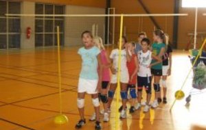 ACTUALITE: championnat et coupe de France