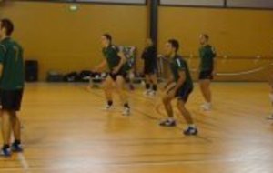 Les seniors montrent la voie