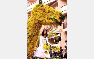 La médaille d'argent pour le MLNVB