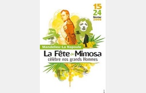 Fête du mimosas du 15 au 24 février 2008