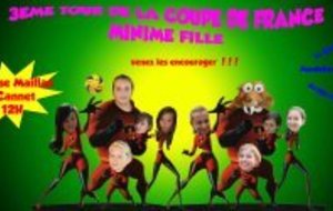 Coupe de France: toutes sur le pont !!!