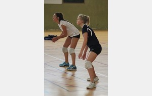 Petit couac en Bretagne