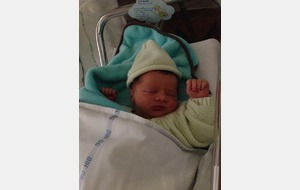 Un nouveau bébé au MLNVB !