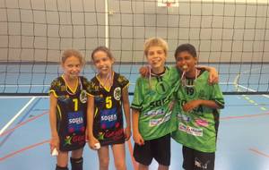 Les poussin(e)s continuent d'apprendre