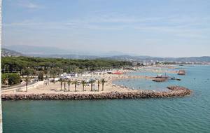 Animation beach en aout avec le MLNVB