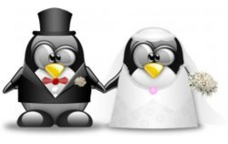 Le MLNVB se pare de blanc