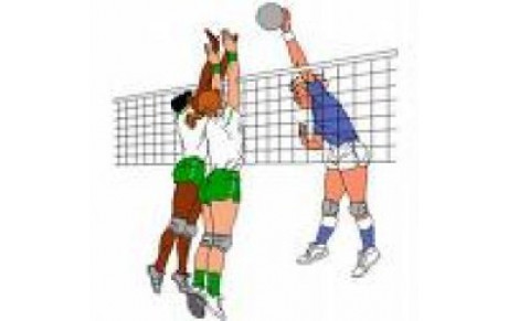 CRENEAUX D'ENTRAINEMENTS ET CATEGORIES D'AGES