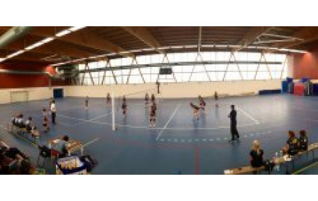 Les jeunes assurent, les seniors peinent