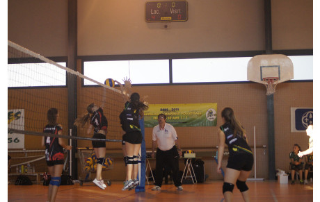 Les coupes de France à l'honneur