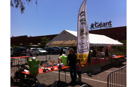 Le MLNVB présent avec GEANT