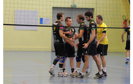 Les poules N3 sont connues !!!