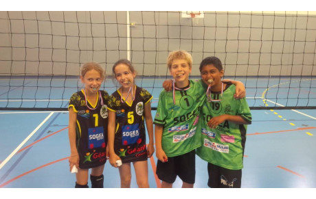 Les poussin(e)s continuent d'apprendre