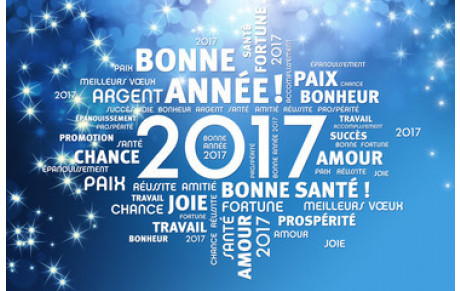 Bonne année 2017 !